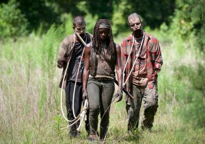 Walkers and Michonne (Danai Gurira) - The Walking Dead _ Season 4, Episode 9 - Photo Credit: Gene Page/AMC