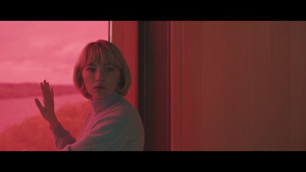 swallow_still_ccd_24553